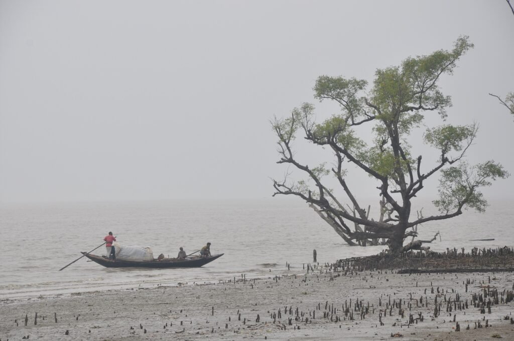 Largest Mangrove Forest in the World