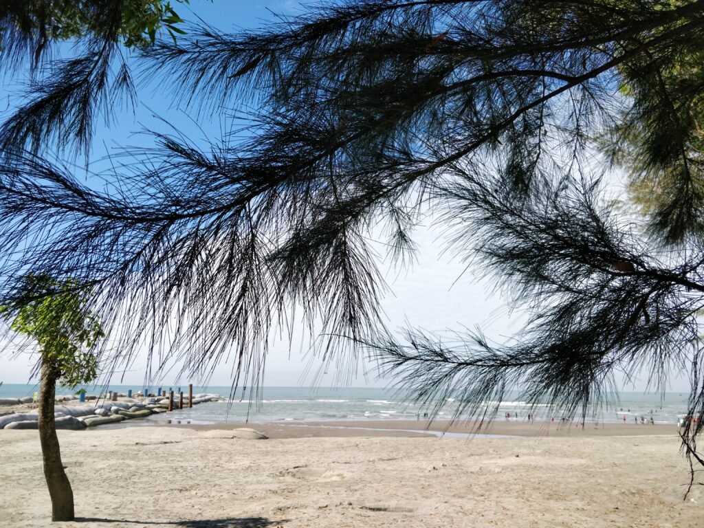 The Longest Beach in The World